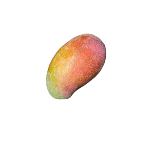 Mango lancetilla libra