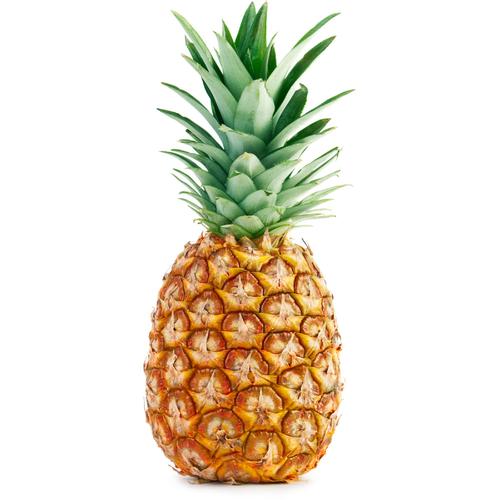 Pina sweet baby und