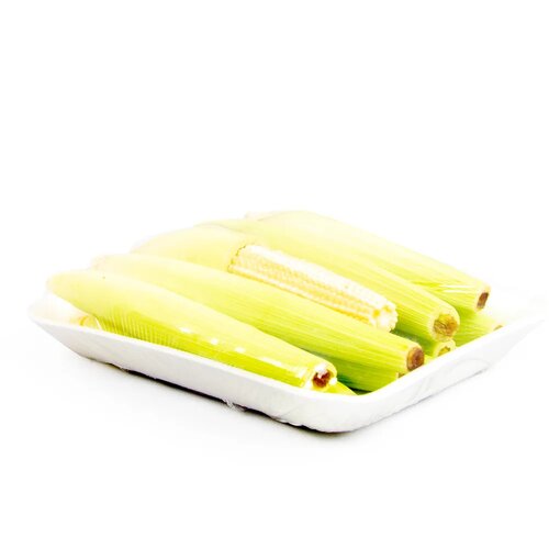 TSEBAOTH JILOTE BANDEJA 10 UND
